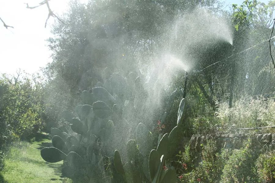 anti zanzare piscina