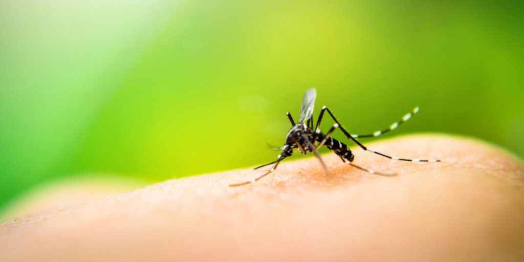 zanzariere per piscine